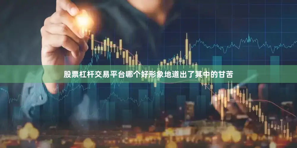 股票杠杆交易平台哪个好形象地道出了其中的甘苦